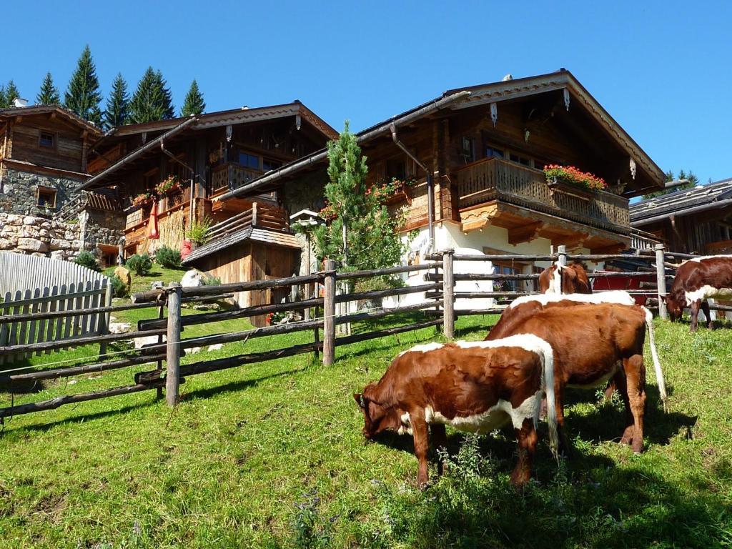 Almdorf Flachau - Luxus Huettenurlaub الغرفة الصورة
